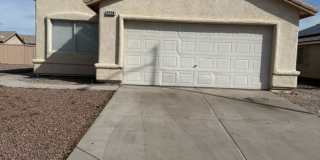 CAMBRIDGE ELMS Gallery 1