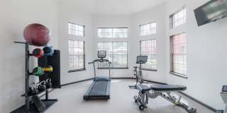 Elle Collection Gallery 24