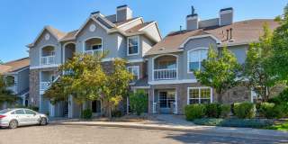 Westcliff Gallery 46