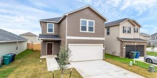 14458 RIBBON TAIL Gallery 1