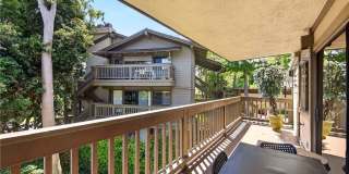 9 Madrona Gallery 26