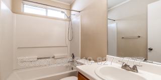 10343 Lion Chase Gallery 19
