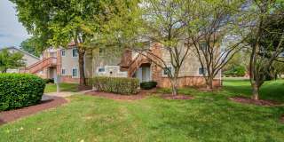 Park Terrace Gallery 30