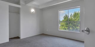 Liv on Steele Gallery 17