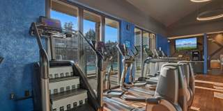 Martingale Gallery 33