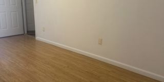 30 Elizabeth Ave Gallery 6
