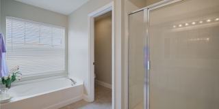 2059 Willow Branch Drive Gallery 13