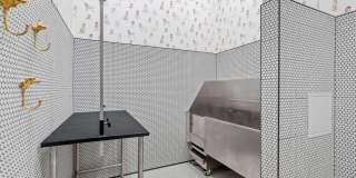 The Hallon Gallery 75