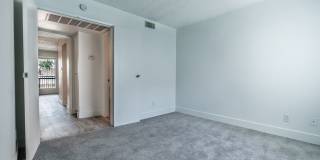 Rise Lakeside Gallery 57