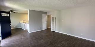 Tierra Palms Gallery 1