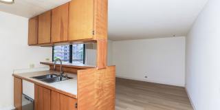 Piikoi Atrium - studio,1 bath with 1 covered parking stall Gallery 3