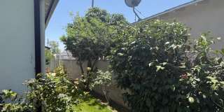 6239 Cleon Avenue Gallery 18