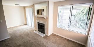 View at Bitter Lake Gallery 1