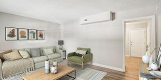 The Ashley Gallery 32