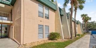 Buena Vista Gallery 94