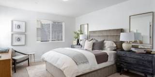 Gladstone Place Gallery 5