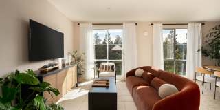 Mosaic Apartments Gallery 1