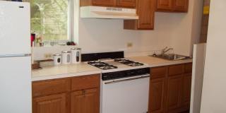 Beautiful 1 Bed Apartment in North Center/ Ravenswood Area Available September 1st Gallery 30