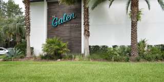 The Galen Gallery 11