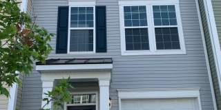 227 SCHRAMM Loop Gallery 1