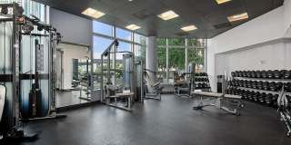 Left Bank Gallery 29