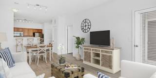 Greystone at Widewaters Gallery 71