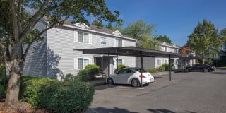 Avana Evergreen Gallery 26