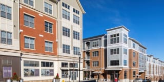 Avalon Harrison Gallery 26