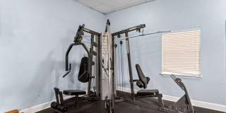 Sea Oats Sea Oats Gallery 58