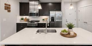 46270 MOUNT ALLEN Terrace Gallery 4