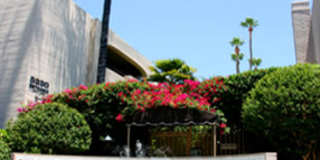 5266 Lindley Avenue Gallery 4