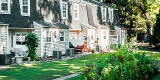 Mordecai On Clover Gallery 10