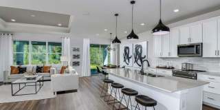 17311 Million Lakes Court Gallery 2