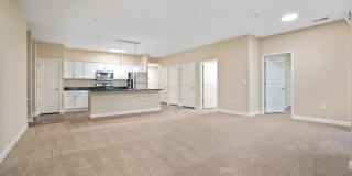 5168 Foxtail Pine Street Gallery 12