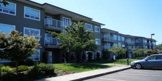 508 Darby Drive #304 Gallery 1