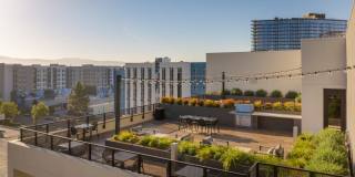 The Lafayette Gallery 46