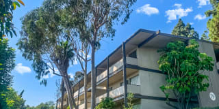 Annandale Terrace Gallery 18