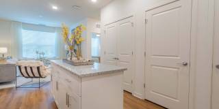 Altera Jacaranda Gallery 16