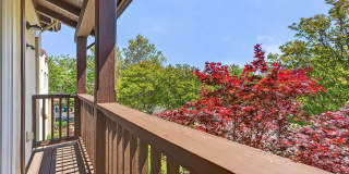 3107 Browntail Way Gallery 24
