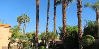 40556 Clover Lane Gallery 31