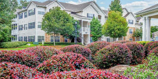 Summer Park Apartments Gallery 1