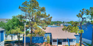 Diamond Lake Gallery 19