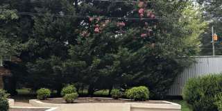 CherryVille Downtown, 3 bedroom, 100% Upgraded. Gallery 14