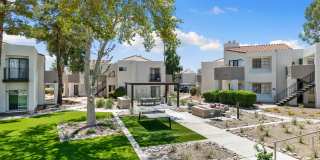 Cortland North Tucson Gallery 18
