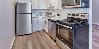 Village Square Gallery 1