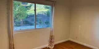 753 Rushing Creek Place Gallery 13