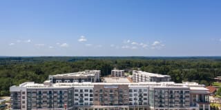 The Local Sugar Hill Gallery 38