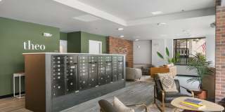 Theo Gallery 2