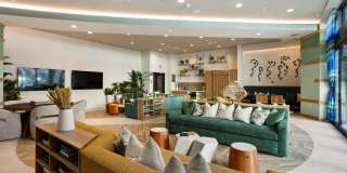 Jefferson Cenza Gallery 13