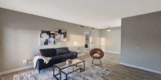 Amalie Apartment Homes Gallery 5